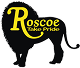 testimonial-logo-img