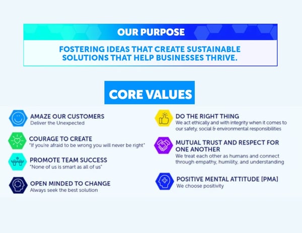 Purpose & Core Values Snapshots